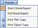 ReportPreviewMenu